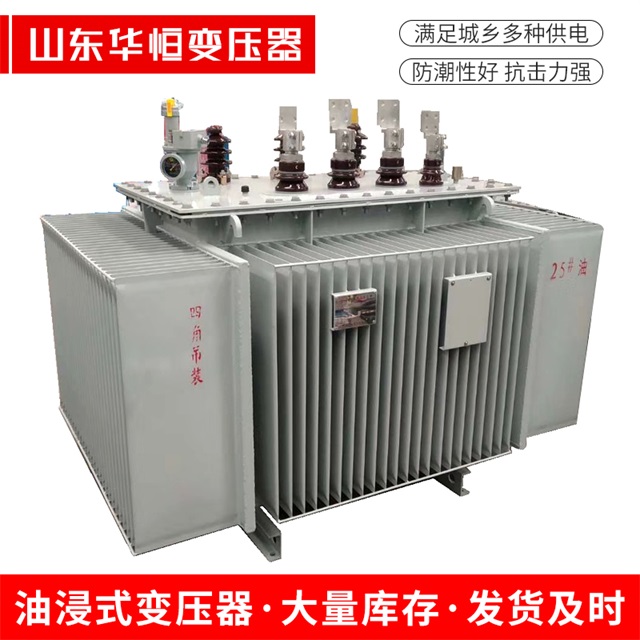 S13-10000/35望城望城望城电力变压器厂家
