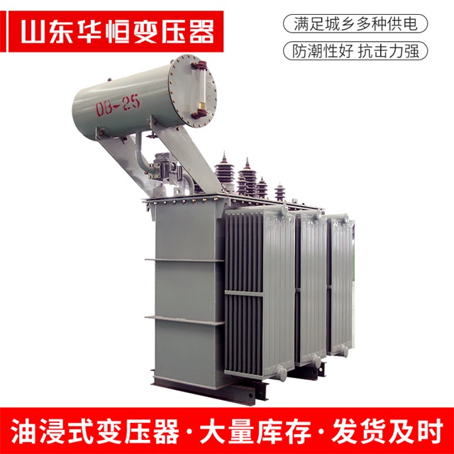 S11-10000/35望城望城望城电力变压器厂家